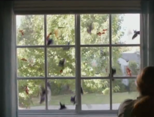 Gli uccelli che si sfrociano sul vetro.