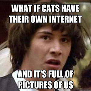 What-if-cats-have-their-own-internet-and-it-s-full-of-pictures-of-us