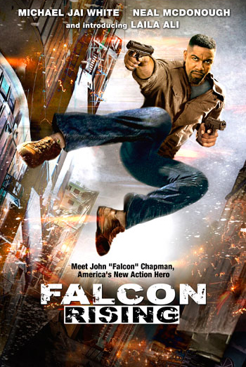 falcon-rising