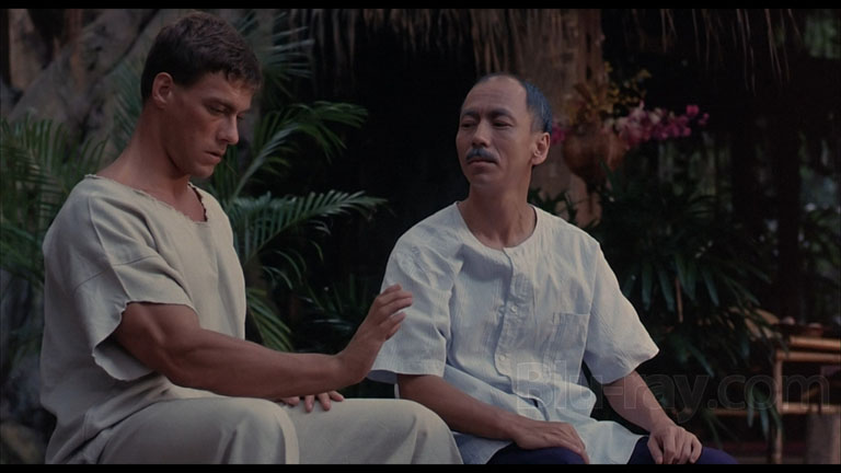 Vi ricordate questa commovente scena in cui Xian insegnava a Van Damme che cos'è una mano?
