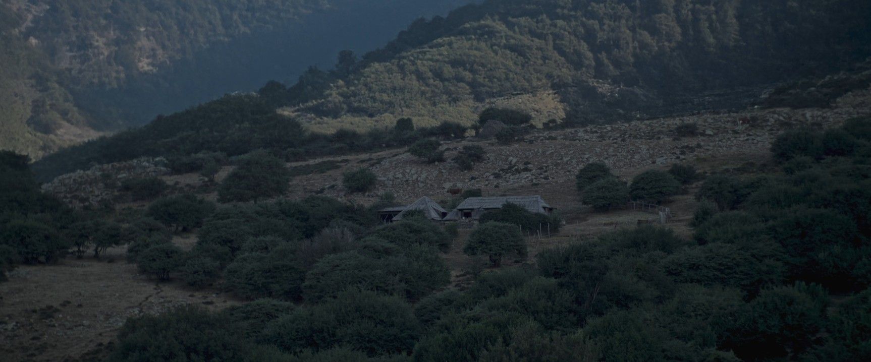Quella famiglia nel bosco: la rece di Jastimari – Il rifugio